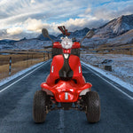 Zvg 4-Wheel 60V/20AH Electric Golf Senior Travel Mobility Scooter For Adults, 440LBS