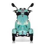 Zvg Heavy-Duty 800W 60V/20AH Four Wheel All-Terrain Travel Mobility Scooter For Adults And Seniors, 500LB